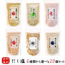 だし塩 6種類から選べる20個セット 各160g のどぐろのだし塩 あごのだし塩 伊勢えびのだし塩 下仁田ねぎとあごのだし塩 真鯛のだし塩 しじみのだし塩 鍋 ...