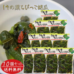 【送料無料】しその葉ちびっこ胡瓜 350g×10個 ちびっこキュウリ ご飯のお供 おつまみ 紫蘇の葉 ちびっ子胡瓜 漬物 和風惣菜 しその葉 ちびっこ子きゅうり 季折