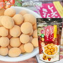 【国産きなこ使用】レーズンきなこ 85g サクサク食感 干しぶどう レーズン おやつ お茶菓子 駄菓子 大豆イソフラボン 季折