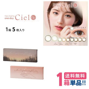 アイレ ネオサイトワンデーシエルUV【1箱】(1箱5枚入り)【ポスト便送料無料】AIRE NeoSight1dayCielUV 1日使い捨て ソフトレンズサークルレンズ 度なし 度あり カラコン 白宮みずほ