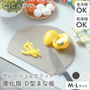 エピキュリアン カッティングボード まな板 L サイズ epicurean アメリカ 薄型 食洗機対応