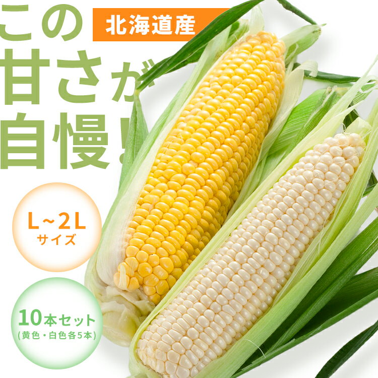北海道産黄色・白いとうもろこし　各5本 とうもろこし 北海道 産地直送 旬 農産 野菜 ギフト 白い セット 食べ比べ 【TD】 【代引不可】