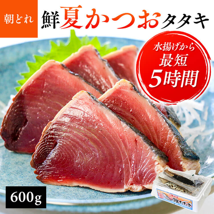 気仙沼発 朝どれ鮮かつおタタキ　600g かつおたたき 生かつお 気仙沼 宮城 産地直...