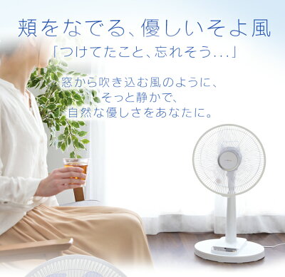室内の快適性がアップ 扇風機の上手な使い方 効率的に空気を循環するコツも伝授 暮らし の 室内の快適性がアップ 扇風機の上手な使い方 効率的に空気を循環するコツも伝授 暮らし の