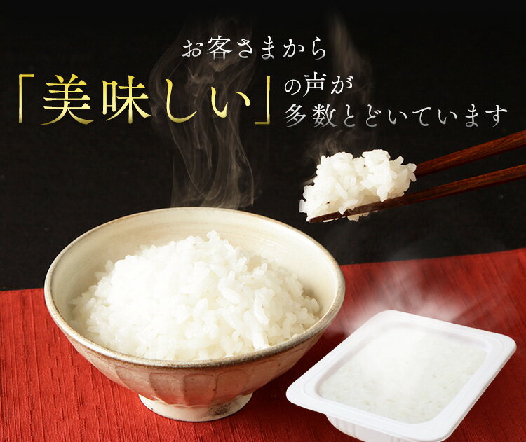 低温製法米のおいしいごはん 120g×40食パック送料無料 パック米 パックご飯 パックごはん レトルトごはん ご飯 国産米 国産 アイリスフーズ