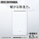 除湿機 コンプレッサー アイリスオーヤマ コンパクト 小型 16畳 角度調整 1.8L メーカー1年保証 コンプレッサー式 衣類乾燥機 節電 省エネ パワフル 梅雨対策 部屋干し 湿気対策 結露 衣類乾燥除湿機 除湿乾燥機 タイマー 脱衣所 除湿器 DCE-6515