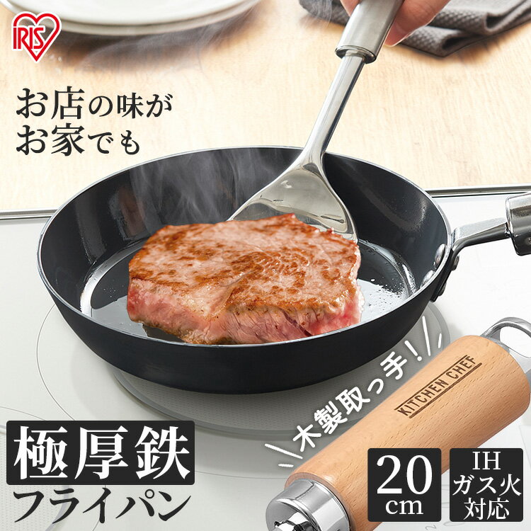 ե饤ѥ Ŵ ih  б 20cm ꥹ Ŵե饤ѥ ֤ ϥɥ Ŵ Ǥդˤ  ñ ü ˸ ˸Ŵե饤ѥ å󥷥 ե ץ쥼 SCPT-F20kmtt