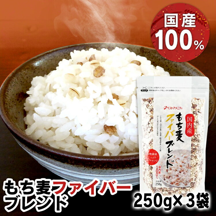 【3袋】国内産 もち麦ファイバーブレンド 250g 送料無料 ブレンド もち 麦 食物繊維 国内産 β-グルカン ベストアメニティ 【D】【B】 【メール便】