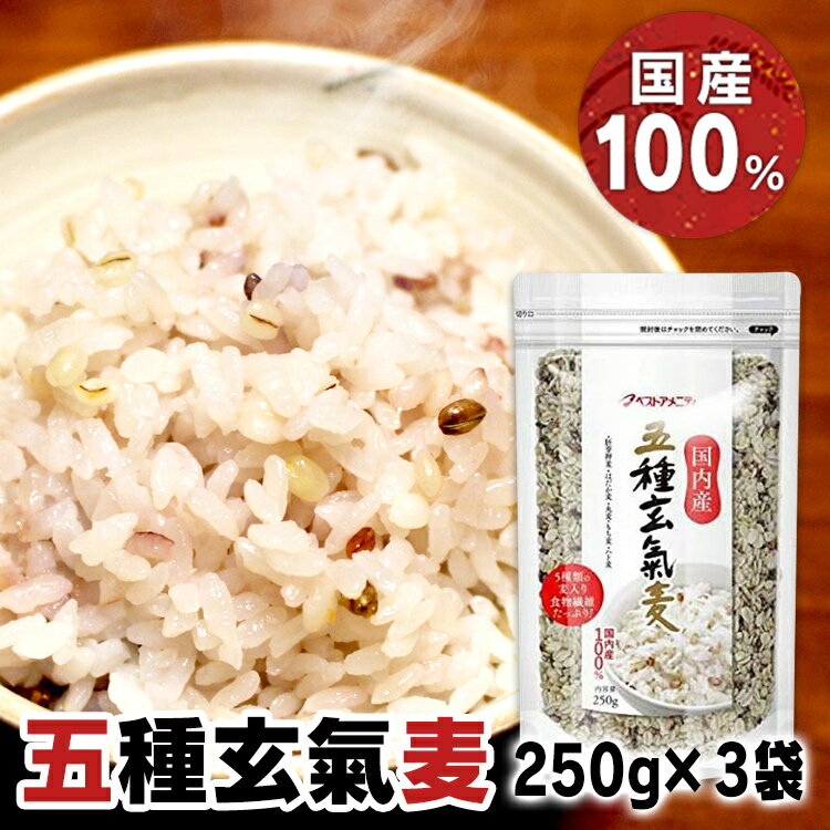 国内産の5種類の麦をブレンドしました。白米に混ぜて炊くとふっくらもちもちのごはんが炊きあがります。●内容量250g×3袋セット●原材料胚芽押麦（国内製造）、はだか麦、丸麦、もち麦、ハト麦●栄養成分（100gあたり）エネルギー：337kcal、たんぱく質：8.1g、脂質：1.3g、炭水化物：77.2g、食塩相当量：0.0g、食物繊維：8.1g●賞味期限約1年半●原産国日本○広告文責：e-net shop株式会社(03-6706-4521)○メーカー（製造）：ベストアメニティ株式会社○区分：一般食品（検索用：5種 玄氣米 国内産 麦5種ブレンド 食物繊維 4994790301095） あす楽対象商品に関するご案内 あす楽対象商品・対象地域に該当する場合はあす楽マークがご注文カゴ近くに表示されます。 詳細は注文カゴ近くにございます【配送方法と送料・あす楽利用条件を見る】よりご確認ください。 あす楽可能なお支払方法は【クレジットカード、代金引換、全額ポイント支払い】のみとなります。 15点以上ご購入いただいた場合あす楽対象外となります。 あす楽対象外の商品とご一緒にご注文いただいた場合あす楽対象外となります。