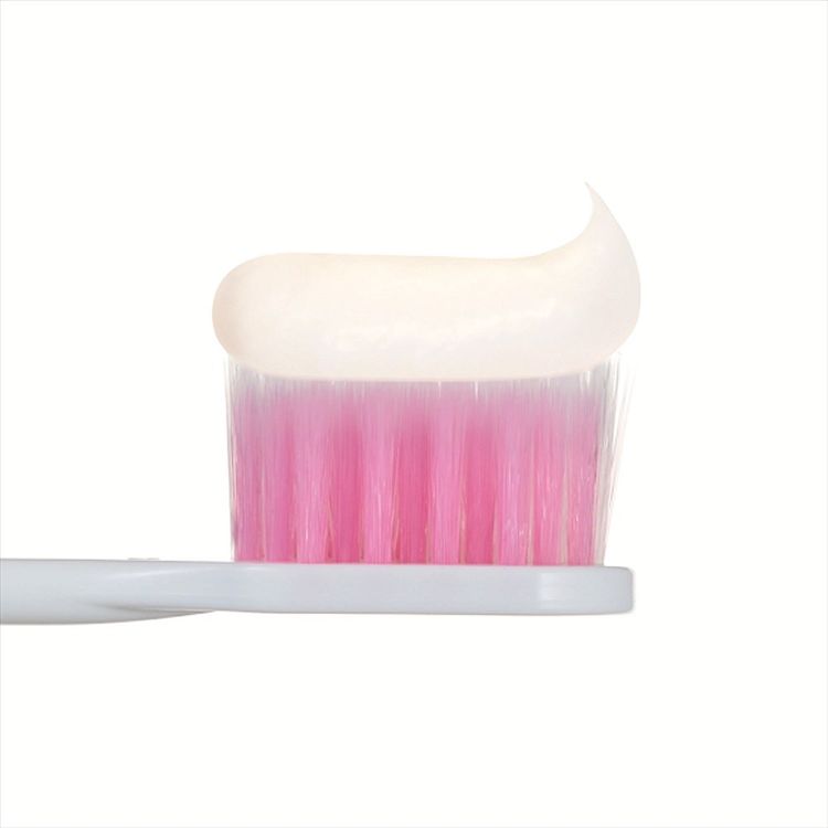 ���᤭ʴ ������ �������ץ饹 �����ƥ� �ϥ����ץ饹 �ץ�ߥ��� �ϥߥ��� 95g �γв��� ������������ ��� ���� ������륱�� ��ǻ�٥ե��� ���������� LION ���쥬��ȥե롼�ƥ��ߥ�� �ե�å��奯�ꥹ����ߥ�� �������ϡ��֥ߥ��