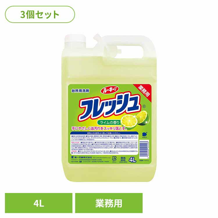 【3個セット】ルーキーV フレッシュ 第一石鹸 ルーキーV 食器用洗剤 食器 台所 野菜 中性 ライム 手に優しい 業務用 第一石鹸