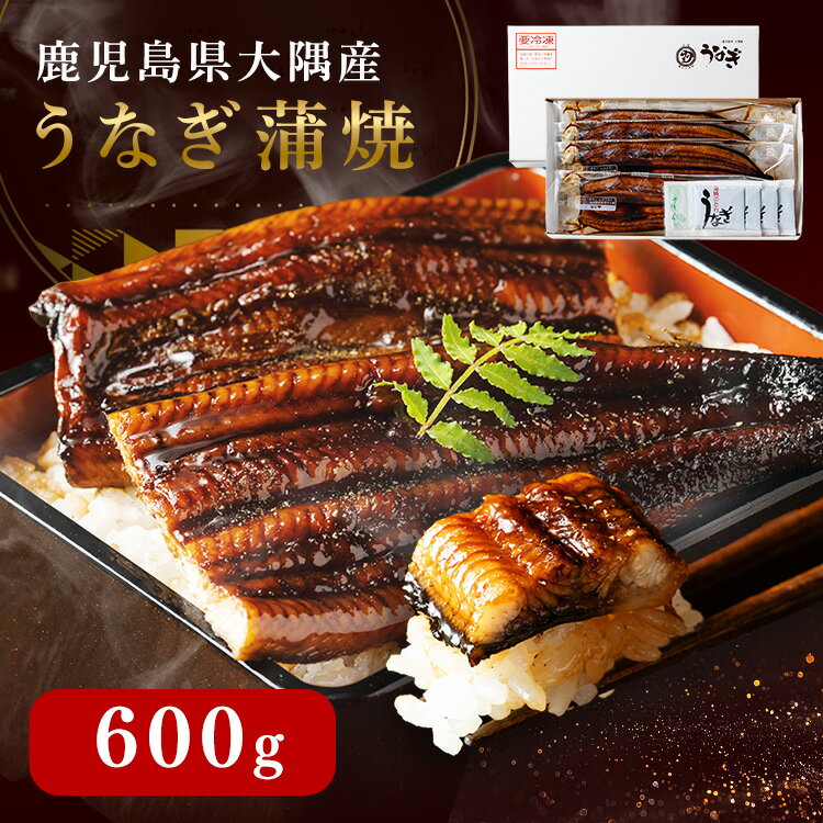 うなぎ 4尾 鹿児島県 大隅産 うなぎ蒲焼 600g 150g×4 たれ 山椒付 鰻 ウナギ 蒲焼 蒲焼き 長蒲焼 長焼き うな丼 アレンジ お茶漬け ちらし寿司 う巻き ギフトにも 冷凍うなぎ 湯煎 * 【TD】 【代引不可】
