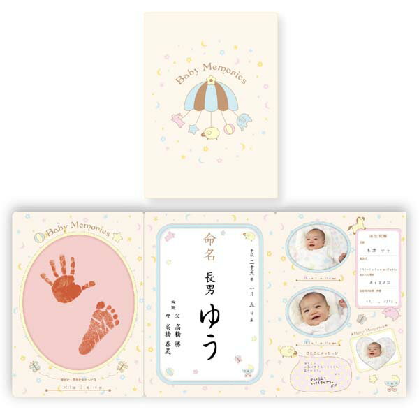 ≪出産祝い・記念に≫おたんじょうきろく　命名紙セット（お誕生記録）【パイロットインキ アニバーサリー 出産祝 誕生祝 メモリアル 記念品 ベビー マタニティ 手形足型 ギフト】【D】