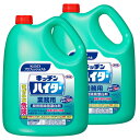 \最大300円OFFクーポン発行中/【2個セット】花王 キッチンハイター 5kg業務用 洗剤 厨房 漂白剤 除菌 消臭 Kao 2本セット プロフェッショナル ...