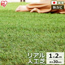 \最大300円OFFクーポン発行中/リアル人工芝 IP-3012人工芝 1m×2m【2平米】国産 人工芝生 芝生 芝マット アイリスオーヤマ 人工芝マット 芝生...