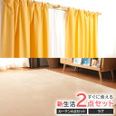 \レビュー記入でクーポンプレゼント/ 【ファブリック2点セット】カーテン 4枚セット+フランネルラグ カーテン 北欧風 レース ドレープ マット カーペット 滑...