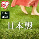 \レビュー記入でクーポンプレゼント/ リアル人工芝(35mm) 1平米 IP-3511人工芝 1平米 芝生 35mm リアル人工芝 送料無料 ロール マット ガーデニング 国産