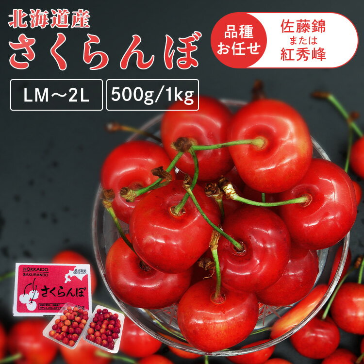 北海道産さくらんぼ 500g 1kg さくらんぼ 北海道 産地直送 旬 農産 フルーツ ギフ...