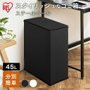 ごみ箱 ゴミ箱 縦型 45L スチールペール スチール STPL-45 ブラック送料無料 スチール ペール おしゃれ ダストボックス スリム シンプル コンパクト キッチン リビング 分別 アイリスオーヤマ