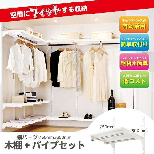 【LINEクーポン配布中】フィットラックエフ 棚パーツ TPセット 木棚+パイプセット パイプ2本タイプ [TP7560EorG] サイズ 幅750×奥行600 ×高さ19mmor18mm 収納システム [2]
