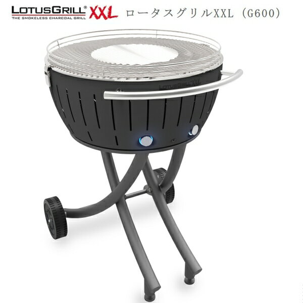 ��LINE�����ݥ�������ۥ᡼����ľ�� ����� �������������XXL������ �������졼(���ѥ����ȥ�����)̵��ú�ХС��٥��塼����� [G-AN-600LC]