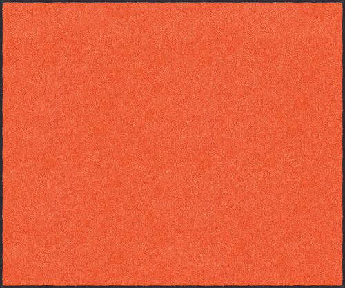 マット スタンダードマットS オレンジ 50 × 75 cm [AM00174] クリーンテックス メーカー直送
