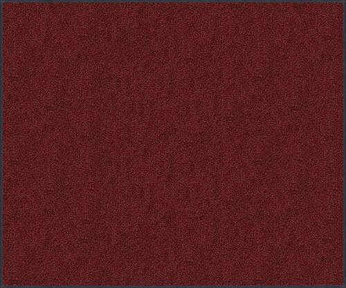 【エントリーでポイント10倍】マット スタンダードマットS バーガンディー 50 × 75 cm [AM00184] クリーンテックス メーカー直送