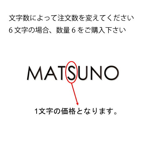 【LINEクーポン配布中】表札 切文字 書体フリータイプ [XP-3] 半ツヤ黒 1文字ごとの価格 美濃クラフト メーカー直送
