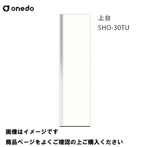 【LINEクーポン配布中】単体キッチン 玄関収納 トールユニット(H=220cmタイプ) 上台 間口30cm ワンド onedo [SHO-30TU-□-□] プレミアムカラー 受注生産 メーカー直送