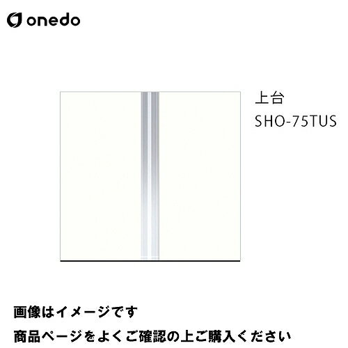【LINEクーポン配布中】単体キッチン 玄関収納 トールユニット(H=180cmタイプ) 上台 間口75cm ワンド onedo [SHO-75TUS-□] プレミアムカラー 受注生産 メーカー直送