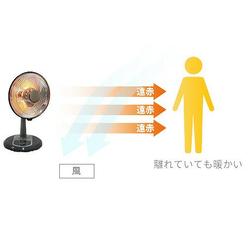 ��LINE�����ݥ����������˼��� �ѥ�ܥ饫���ܥ�ҡ����� �ۥ磻�� [SKJ-BL81CC(W)] ž�ݻ�������ǽ��� ����Ĵ���ǽ �󿶤굡ǽ ������������ѥ� �᡼����ľ��