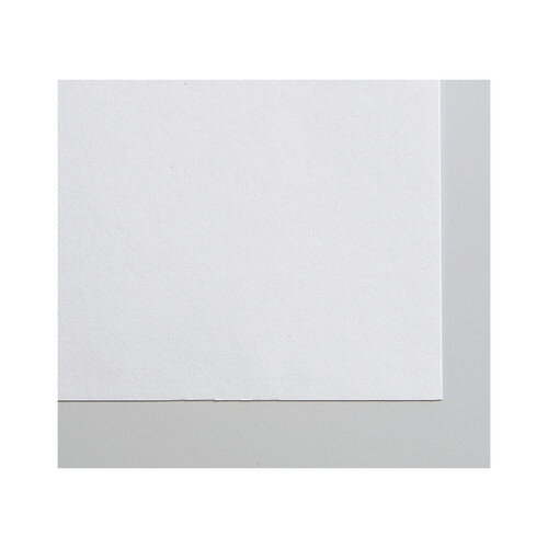 画用紙 4切 #200 100枚 美術・画材・書道 [4521718112558] アーテック