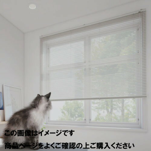 【LINEクーポン配布中】インテリアブラインド 標準仕様 幅201~220×高さ101~120cm [IBHJ201-220-101-120] カーテン 立川機工 タチカワ 変更・キャンセル不可 メーカー直送