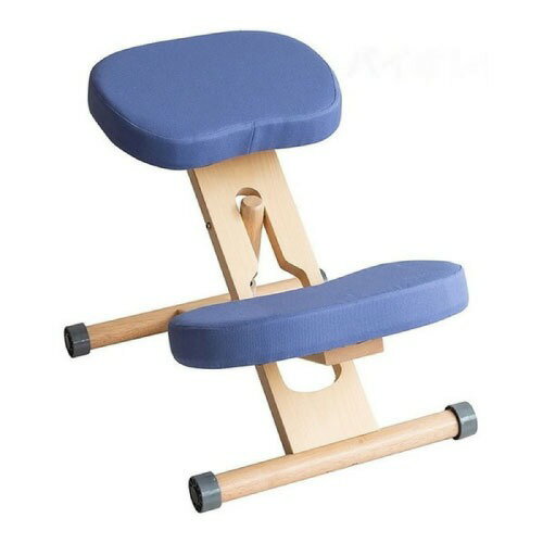 【LINEクーポン配布中】プロポーションチェア ライトナチュラル脚バイオレット 組立式 キャスター付き 補助クッション別売 [613088243] CH-N88W-NTVI 宮武製作所 メーカー直送