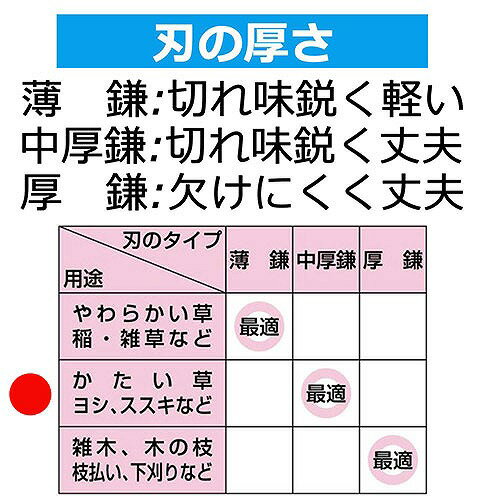 ��LINE�����ݥ�������۱������ �ҿ������ ��� [4977292600644] 165mm ƣ������ �᡼����ľ��