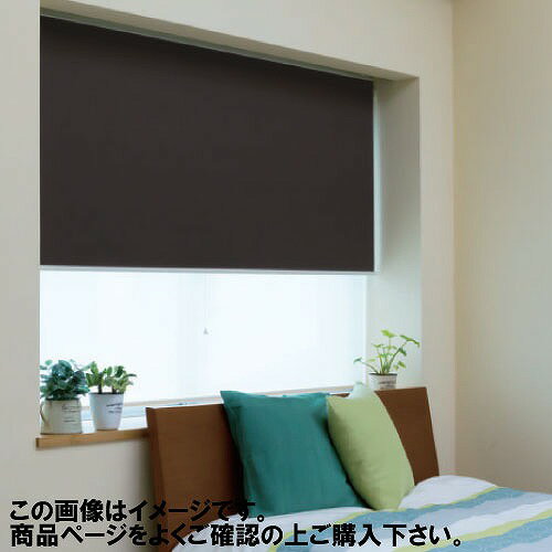 【LINEクーポン配布中】ダブルロールスクリーン ネムロ遮光2級＋ヒラリエレース 幅91~135×高さ30~90cm [RSWBN91-135-30-90] 立川機工 変更キャンセル不可 メーカー直送