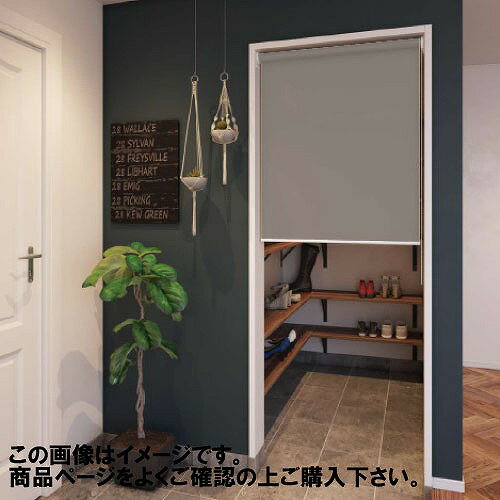 【LINEクーポン配布中】つっぱりロールスクリーン ディアリオ遮光 幅25~40.9×高さ30~90.9cm [RSTDS25-409-30-909] 立川機工タチカワ 変更キャンセル不可 メーカー直送