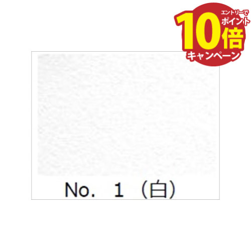 LINEݥۥ᡼ľ ٻ๩  SS No.1 [FUJIKAWA-00011565] ѻž夲