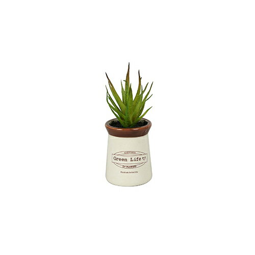 LINEݥۥեץ [82141] 55H140  GARDEN COLLECTIONT(ǥ󥳥쥯) ᡼ľ...