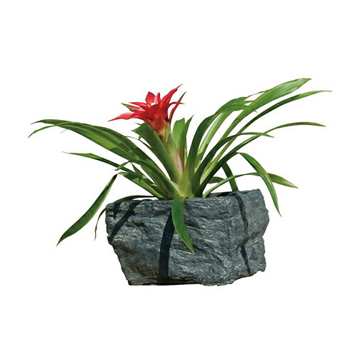 【LINEクーポン配布中】フラワーポット [86296] W240×H140×D210 東洋石創 GARDEN COLLECTIONT(ガーデンコレクション) メーカー直送