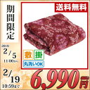 山善(YAMAZEN) 電気掛け敷き毛布 ぐっすりタイマー(...