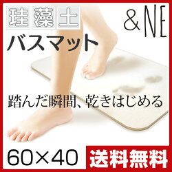 エヌ・エレファント珪藻土バスマットNIT-001※SOILソイルとは異なります。ご注意下さい