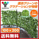 【あす楽】 山善(YAMAZEN) グリーンフェンス リーフ...