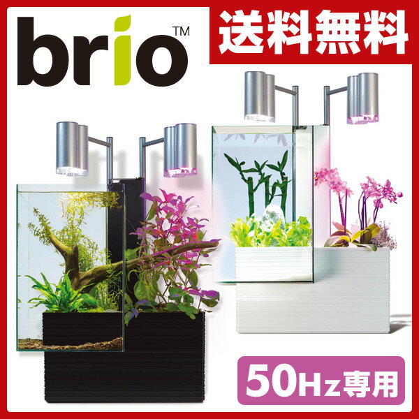 ファンタジーワールド 【50Hz専用】 ブリオ35 家庭用 アクアポニックス 水槽※植物、生体、砂利は付属しません 水槽 アクアポニクス インテリア水槽 おしゃれ 熱帯魚 観葉植物 金魚 植物 アクアリウム【送料無料】