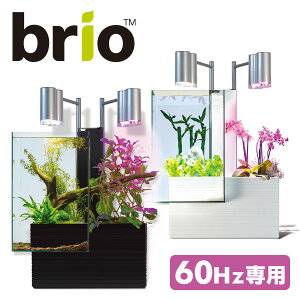 【60Hz専用】 ブリオ35 家庭用 アクアポニックス 水槽※植物、生体、砂利は付属しません 水槽 アクアポニクス インテリア水槽 熱帯魚 観葉植物 金魚 植物 アクアリウムファンタジーワールド 【送料無料】