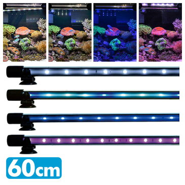 アンダーウォーターLEDスリム 60cm 水槽用照明 LEDライト 鑑賞魚 熱帯魚 アクアリウム アクセサリー ゼンスイ 【送料無料】