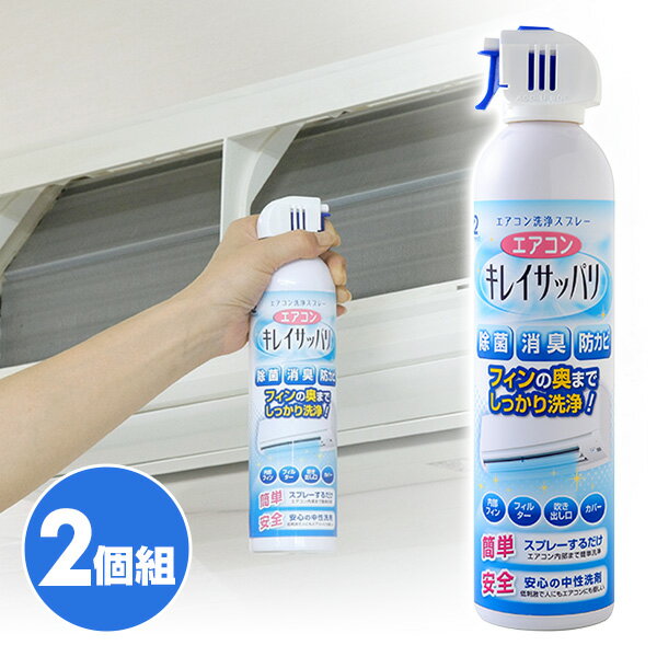 エアコンキレイサッパリ 2個組 420ml A-65454 掃除用品 内部洗浄 防カビ エアコンクリーナー スプレー ..