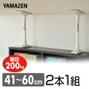 家具突っ張り棒(長さ41-60cm)2本1組 KTB