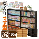 本棚 スリム 薄型 (幅120) 積み重ね CSBS-901...