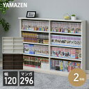 2個セット 本棚 スリム 薄型 (幅120) 積み重ね CS...